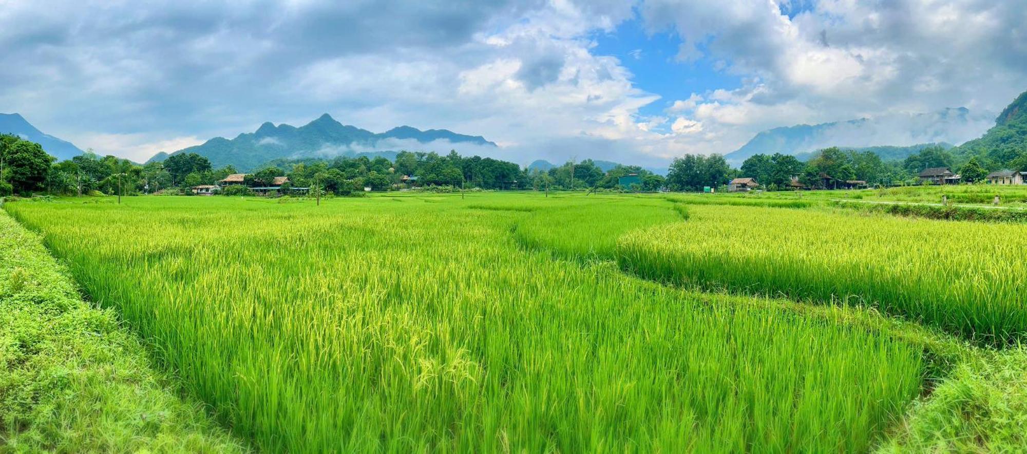 Mai Chau Sky Resort Esterno foto